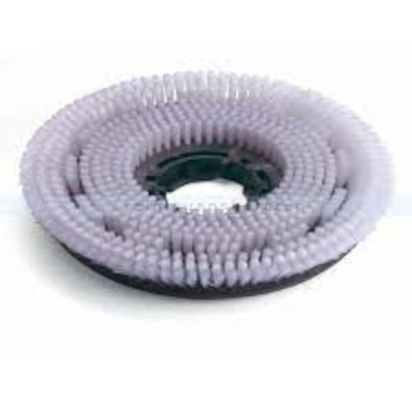 Numatic - Nylon-Scheuerbürste Shampoonierbürste 450 mm